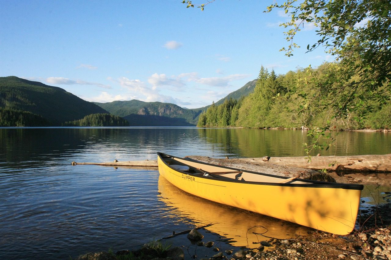 Read more about the article Is Your Canoe Sinking?