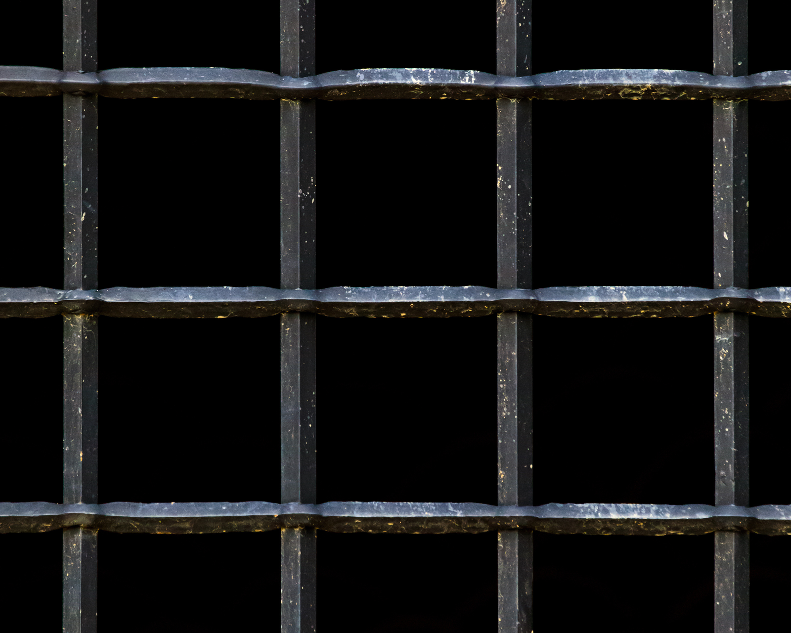 Read more about the article A Cage Is Just A Cage….